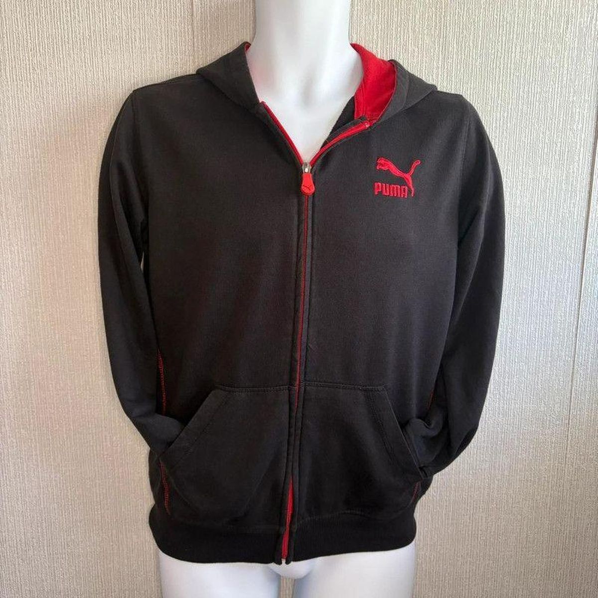Puma Cricket Hoodie